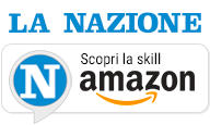 Scopri la skill de La Nazione