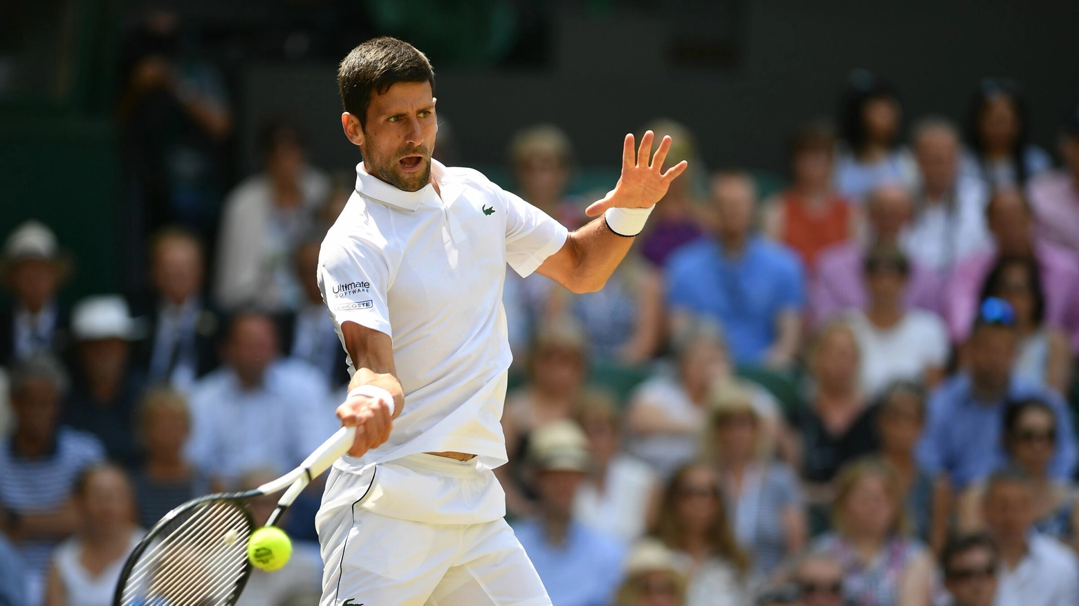 Novak Djokovic primo finalista di Wimbledon 2019