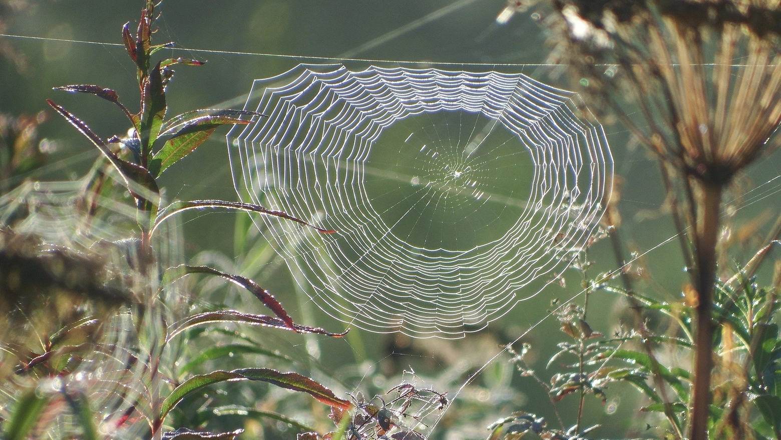 L'estate di San Martino in pieno autunno: temperature più miti alle porte dell'inverno