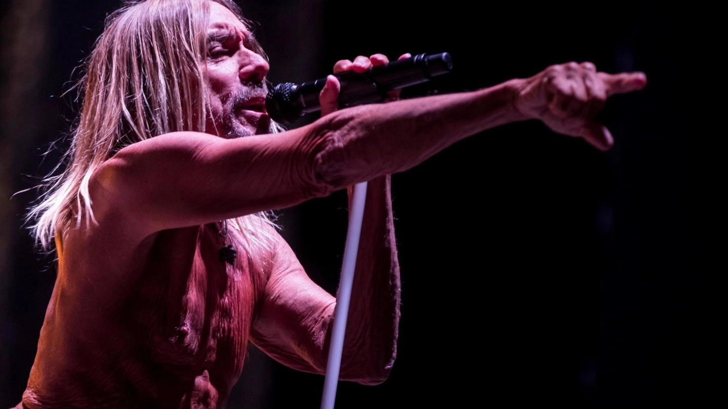 Iggy Pop