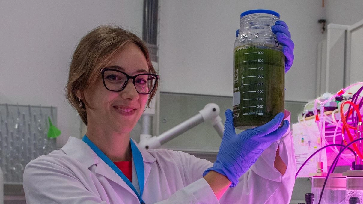 Il Politecnico punta sulla ricerca  Cinque laboratori per l’ambiente