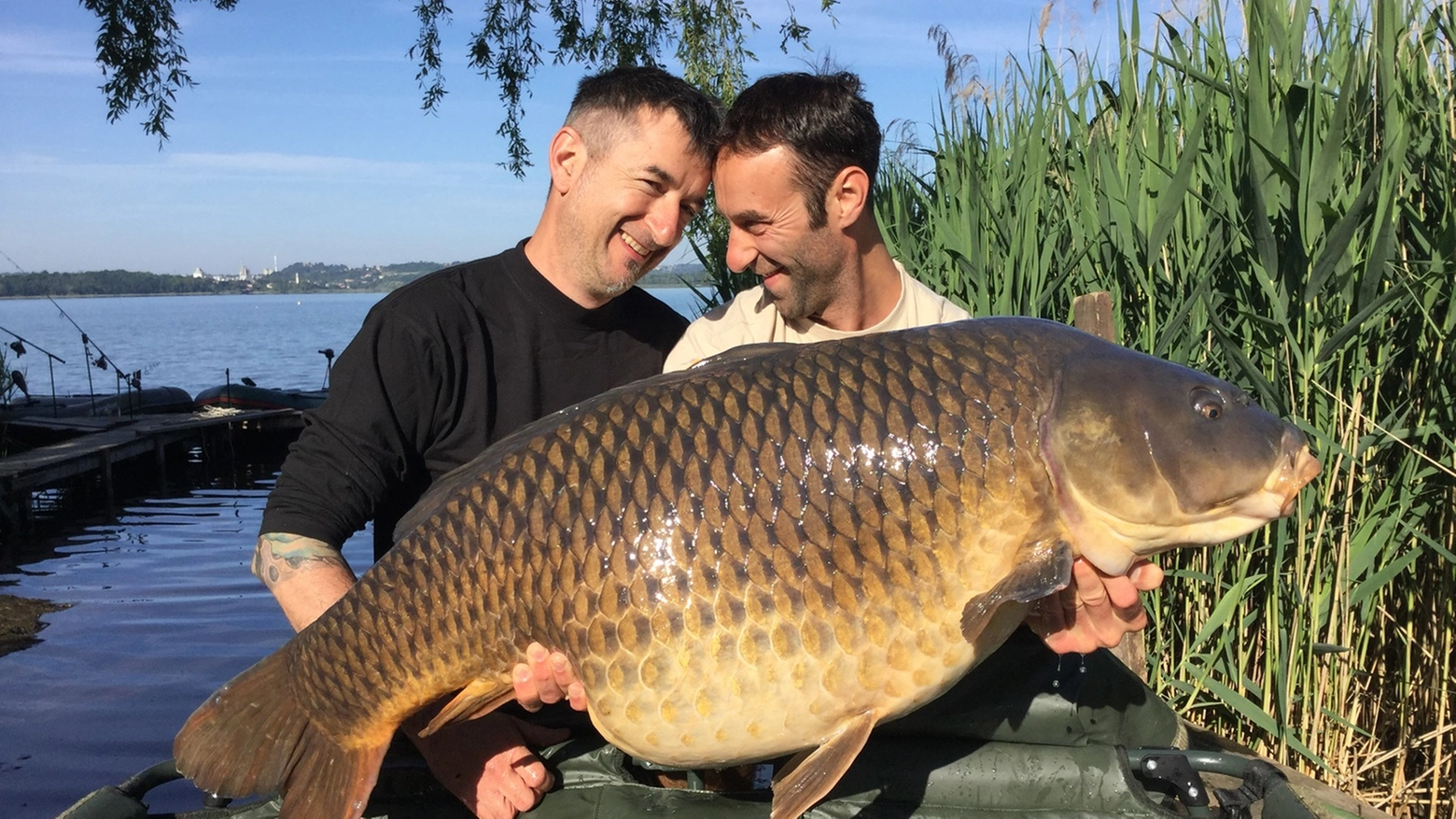 Carpa di 30 chili pescata nel lago di Pusiano