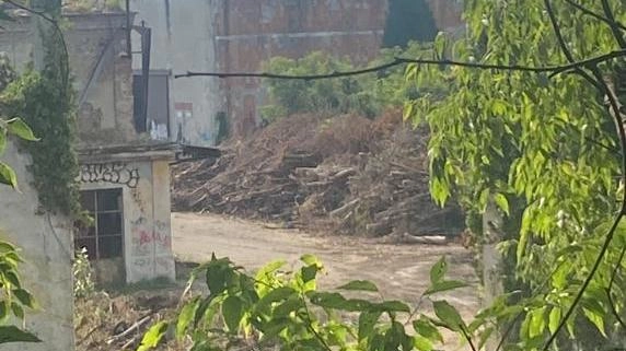 Rigenerazione ex linificio a Cassano d'Adda, via al primo step
Rigenerazione ex linificio a Cassano d'Adda, via al primo step