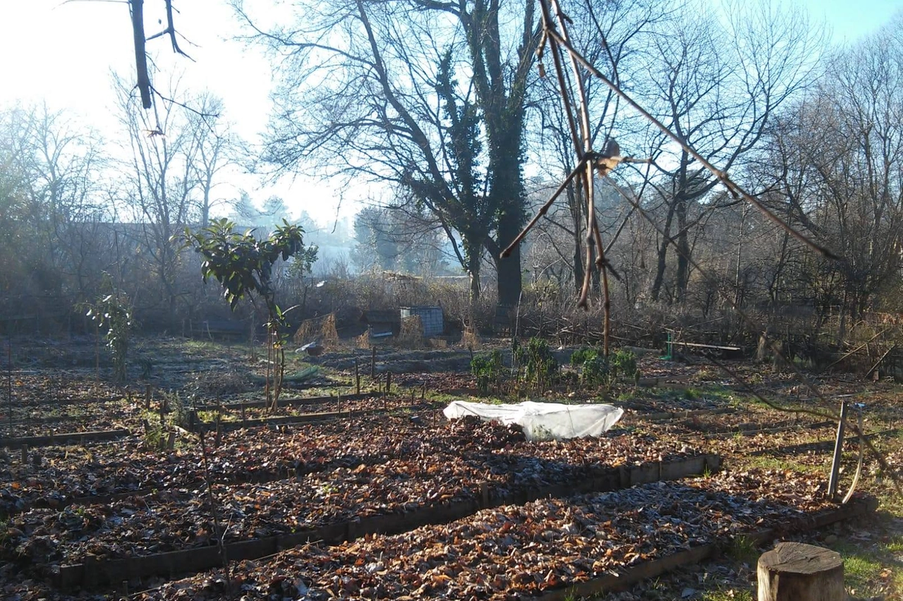 Il Giardino degli Aromi