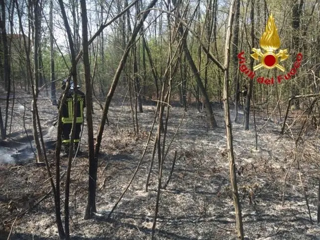 Solaro, ancora un incendio nel parco delle Groane