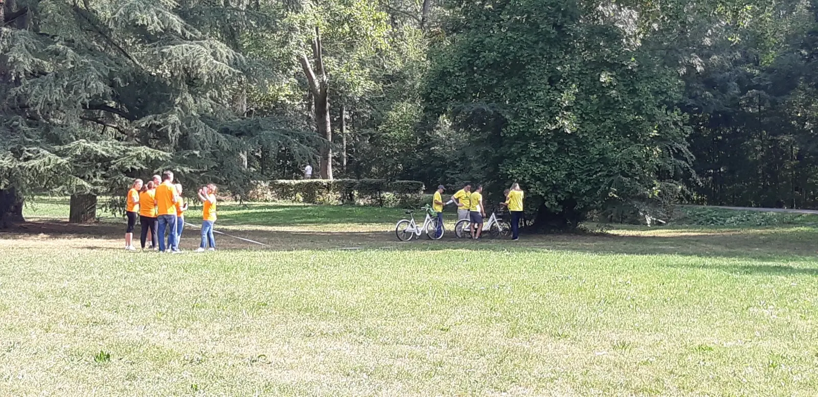 I dipendenti della banca coltivano l'Orto Giardino inclusivo nel Parco di Monza