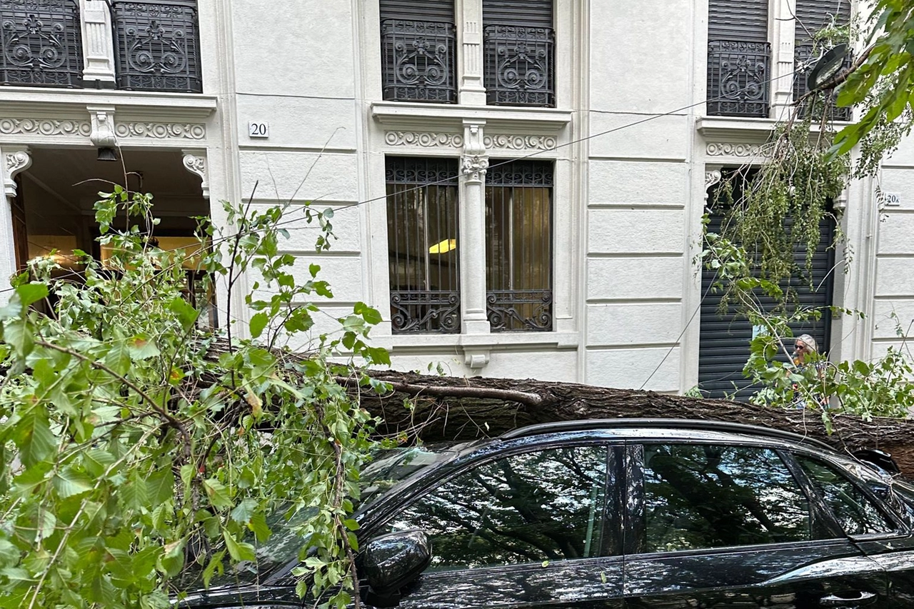 Un'altra auto travolta da un tronco