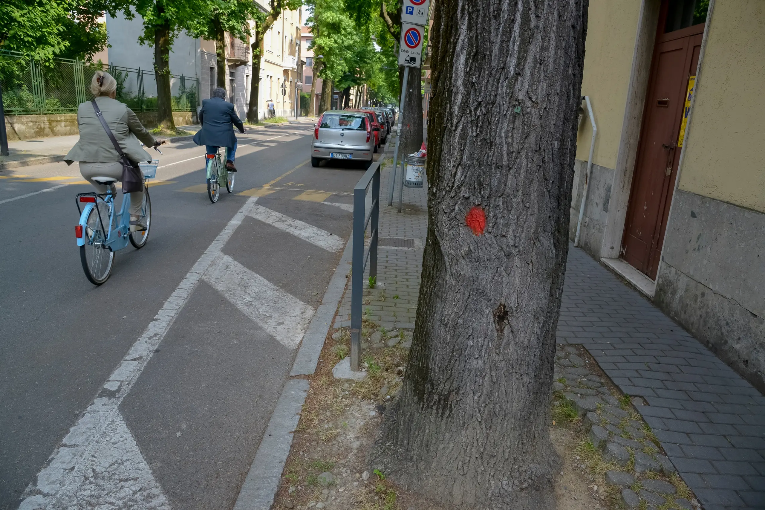 Lodi, in viale Rimembranze ecco il taglio dei tigli malati