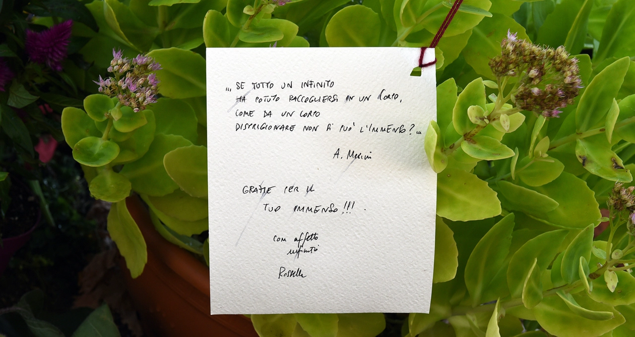 immagine di sfondo 7