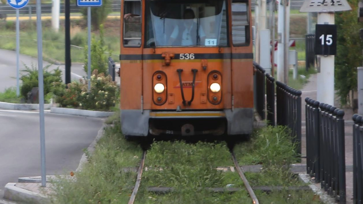 Giallo sui fondi del Frecciarancio: "Dove sono gli 88 milioni di Salvini?" Giallo sui fondi del Frecciarancio: "Dove sono gli 88 milioni di Salvini?"