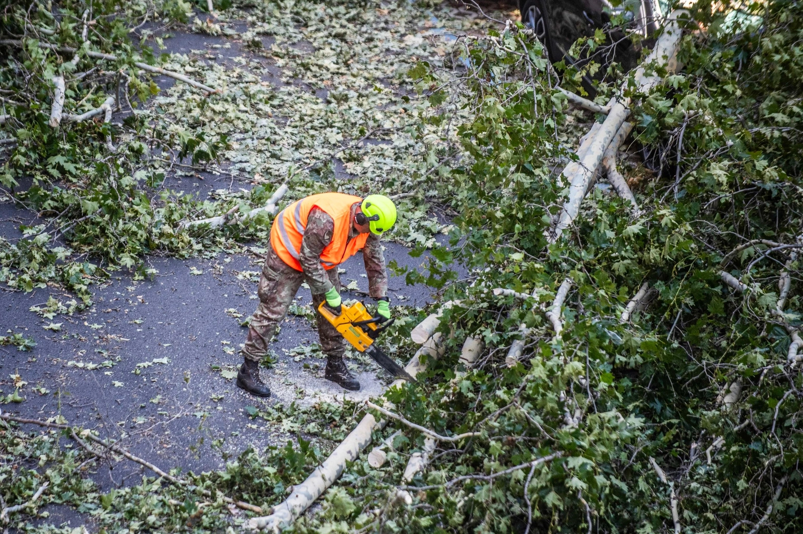 Con la motosega per ridurre gli alberi in pezzi più piccoli