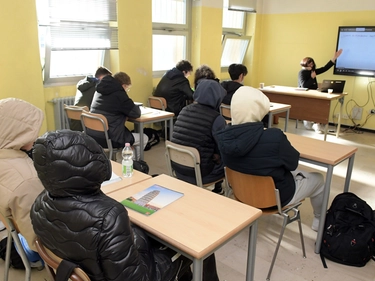 immagine articolo