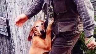 Il veterano della fabbrica ucciso dal cianuro evocato al processo Bozzoli Il veterano della fabbrica ucciso dal cianuro evocato al processo Bozzoli