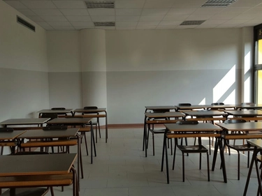 immagine articolo
