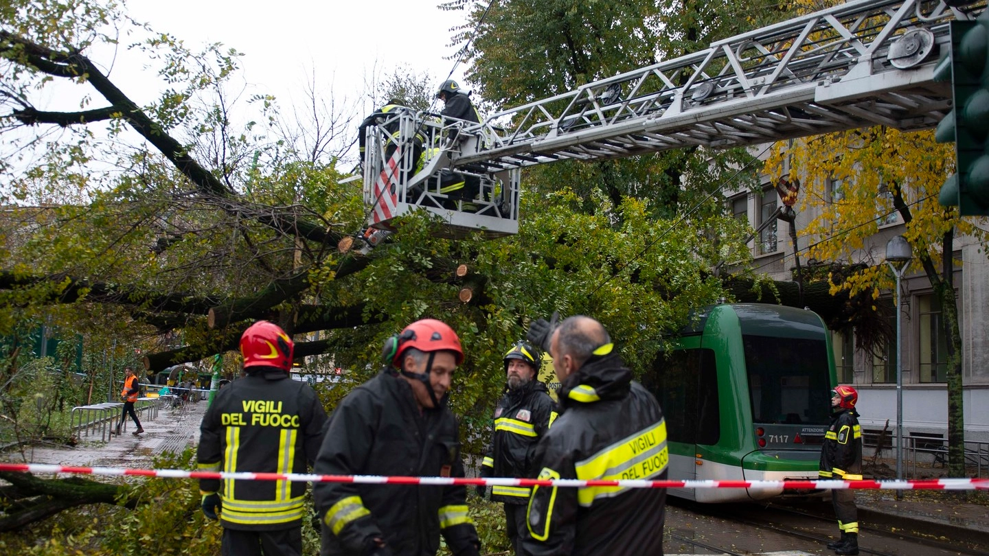 L'albero caduto sul tram in piazzale Maciachini (Newpress)