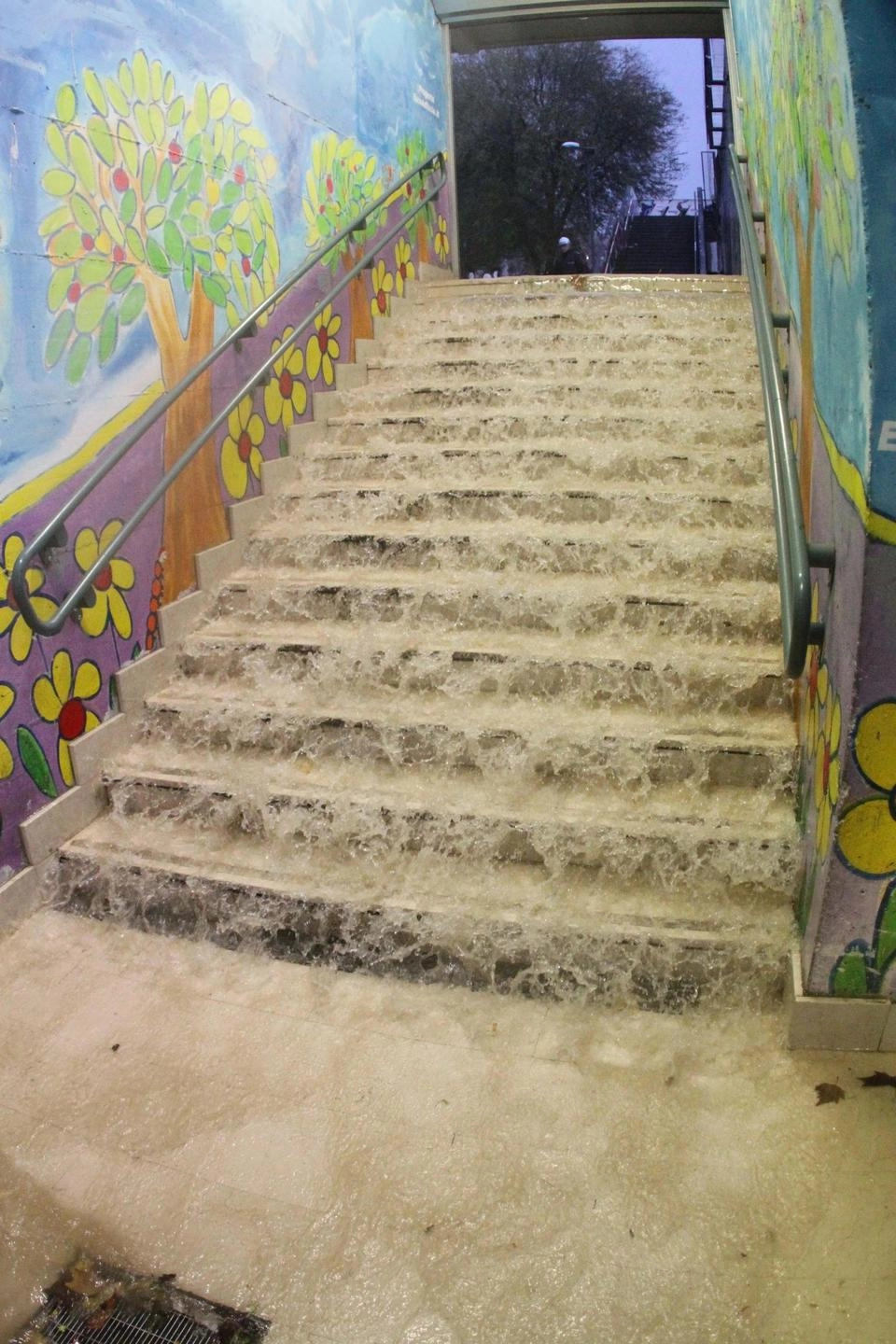 immagine di sfondo 4