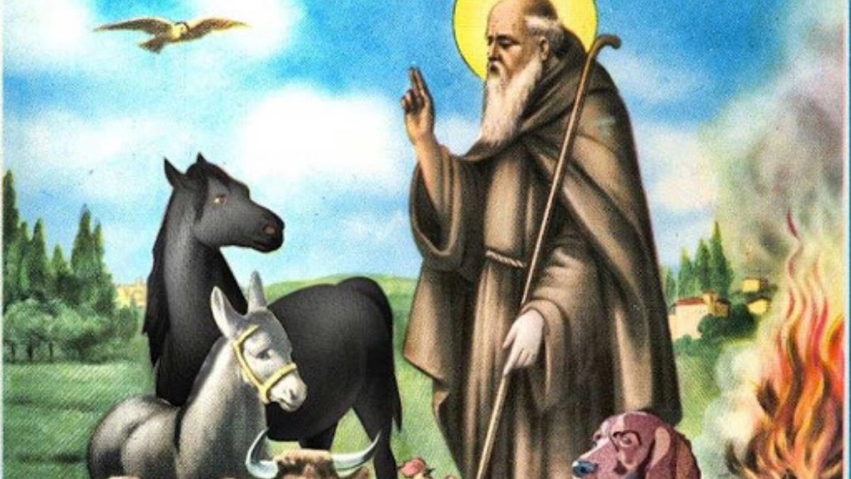 Sant'Antonio Abate circondato dagli animali (internet)