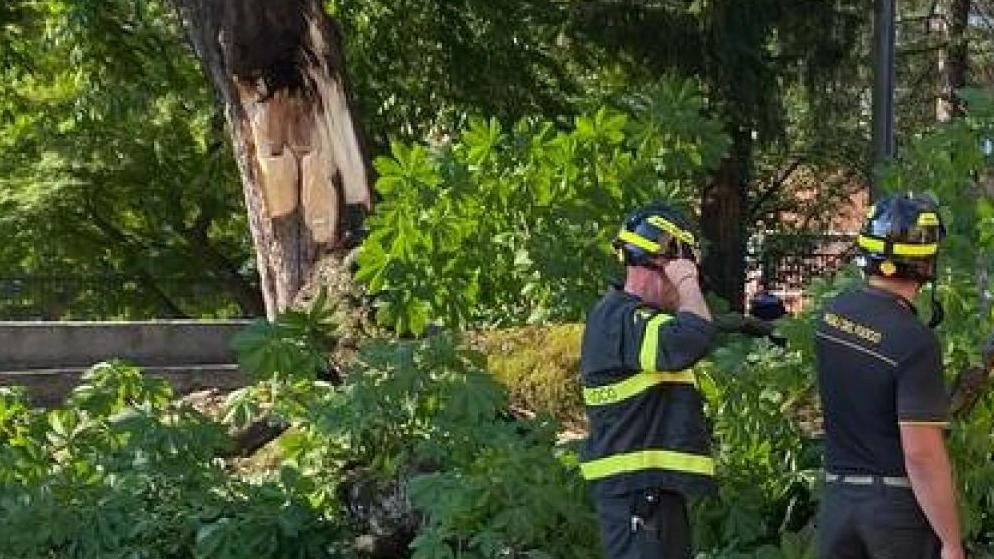 Via alla raccolta di fondi per aiutare la mamma rimasta paralizzata Via alla raccolta di fondi per aiutare la mamma rimasta paralizzata
