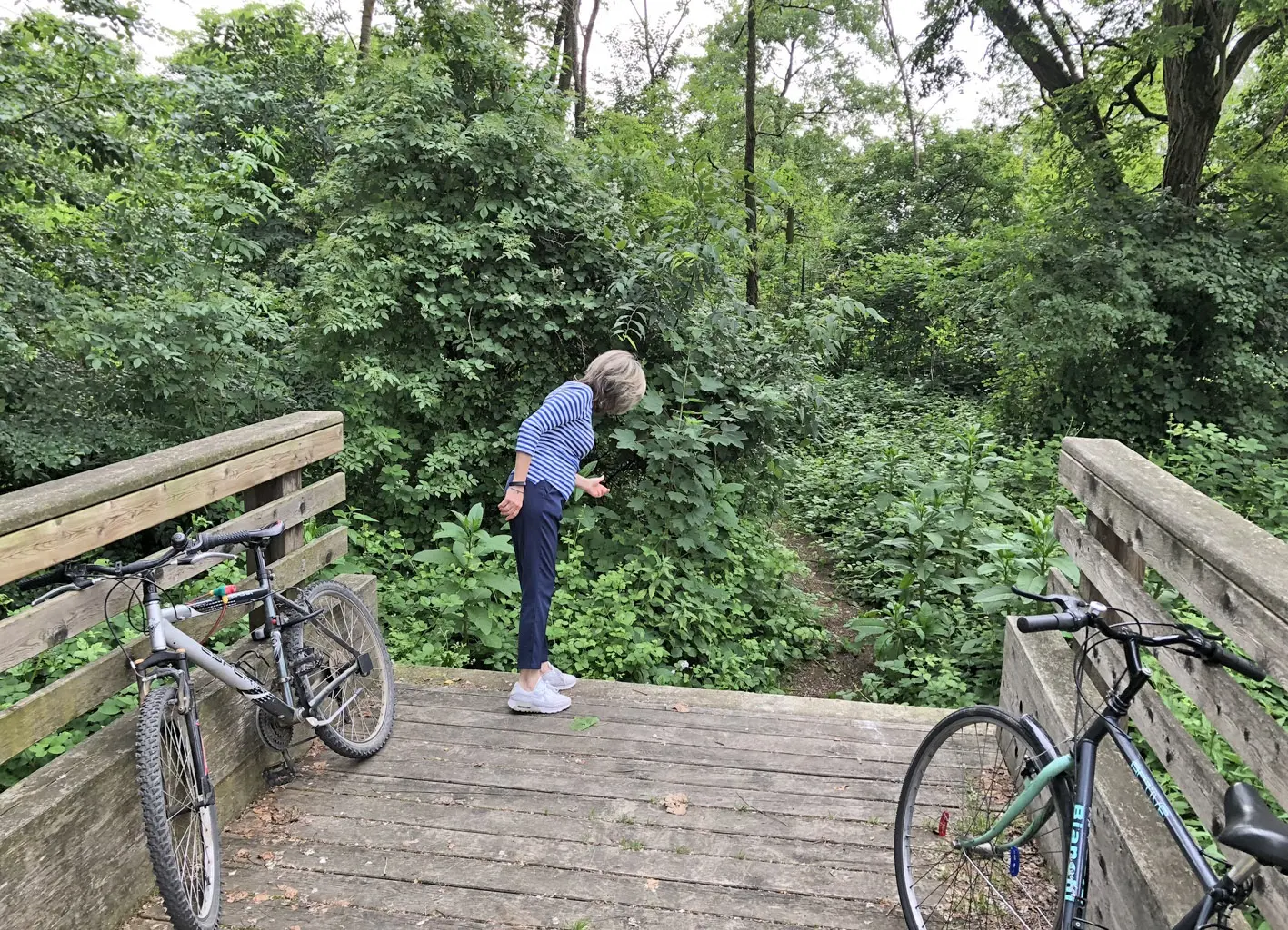 La passerella ciclopedonale di Basiglio, un ponte sospeso sul nulla
