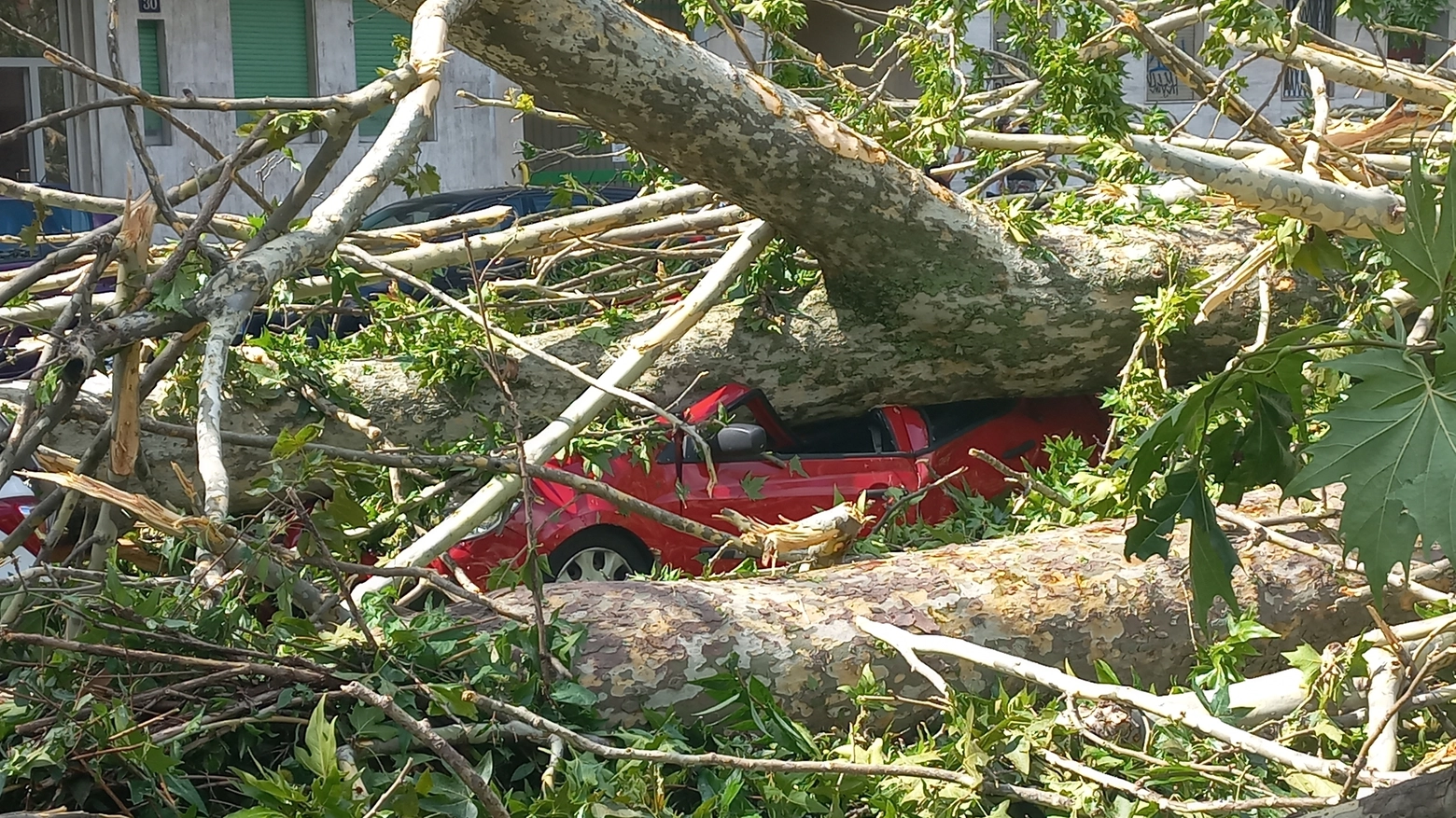 Gli effetti della 'burrasca' a Milano