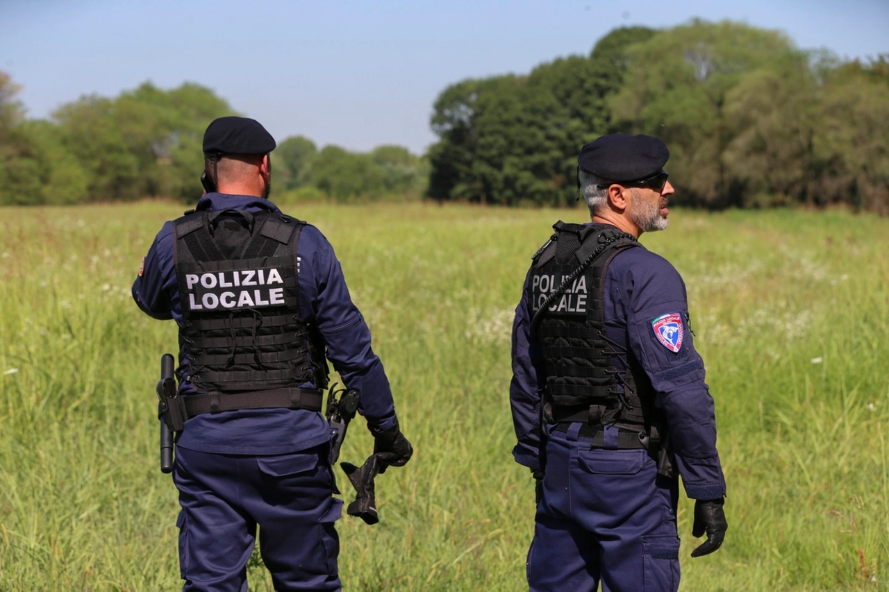 immagine di sfondo 13