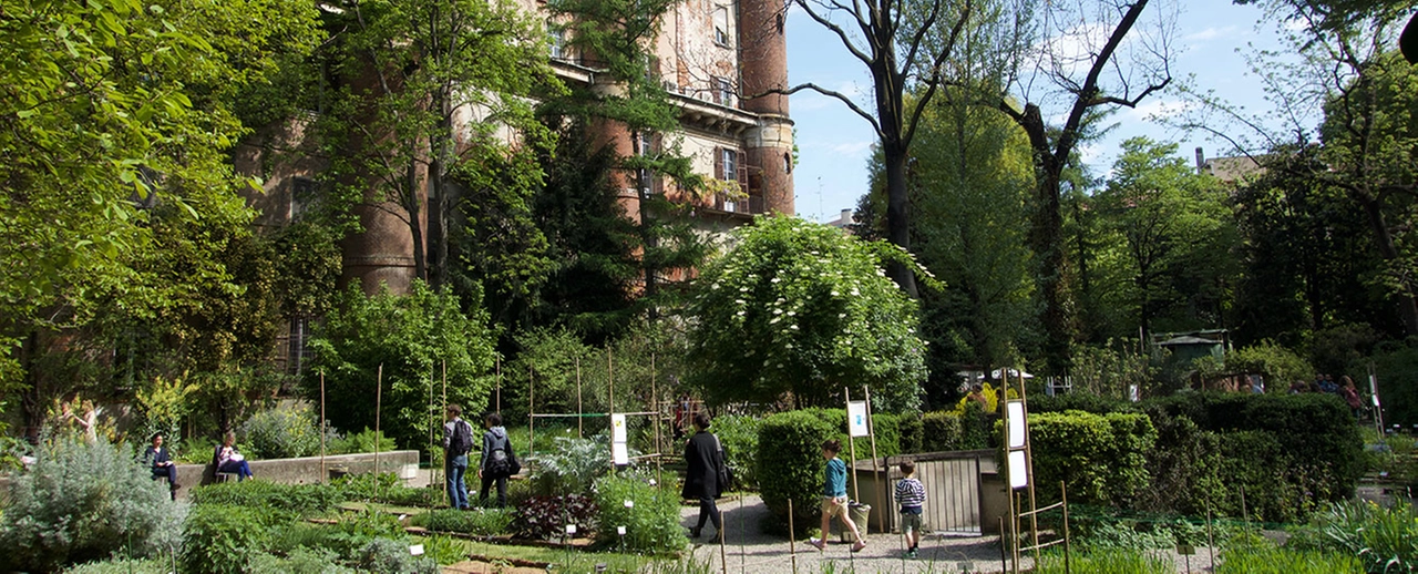 immagine di sfondo 7