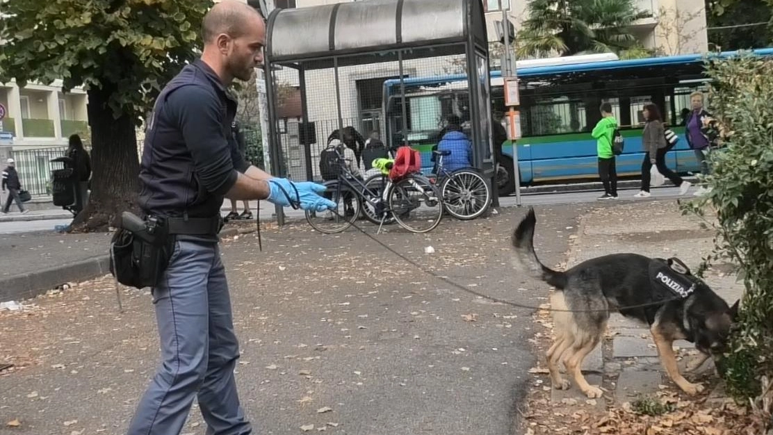 Il blitz degli agenti di polizia con l'aiuto del cane antidroga Il blitz degli agenti di polizia con l'aiuto del cane antidroga