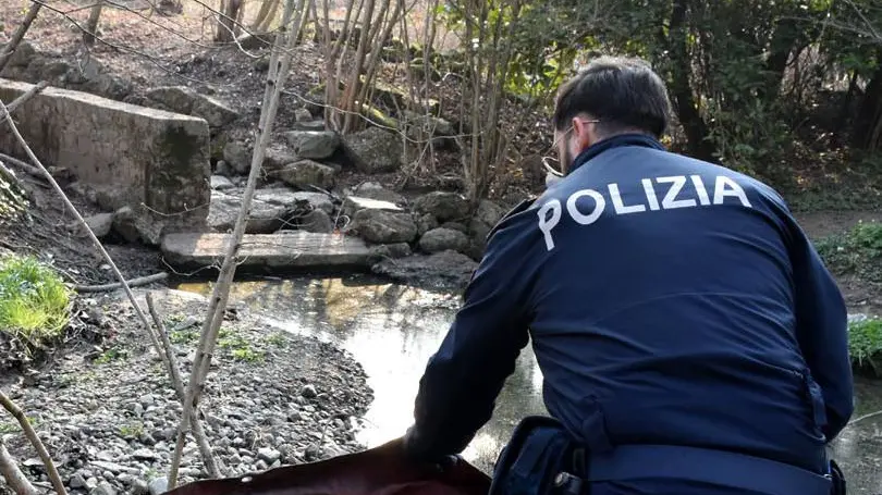 Lotta alla droga Smantellato il camping degli spacciatori nei boschi della 36 Lotta alla droga Smantellato il camping degli spacciatori nei boschi della 36