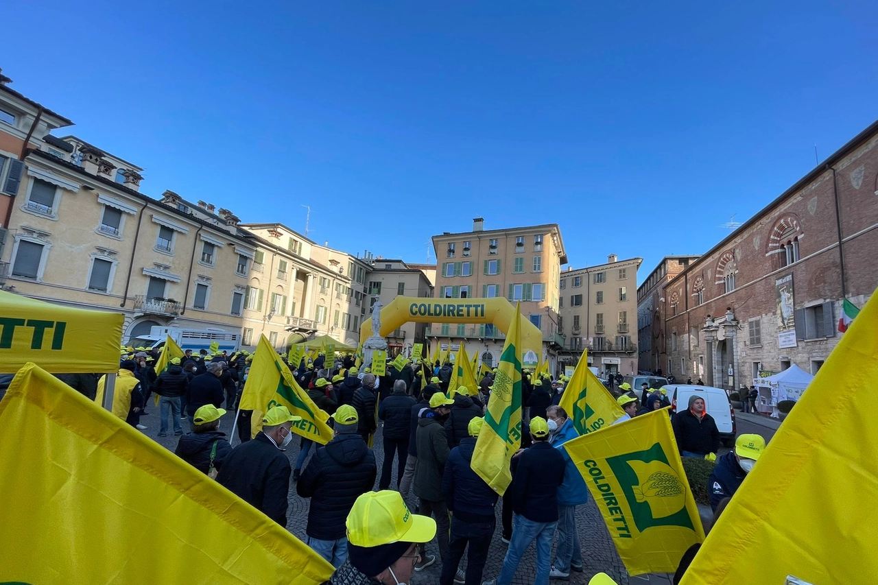 Agricoltori e allevatori di Coldiretti in piazza
