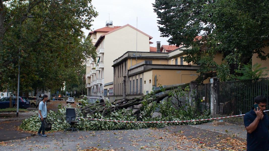 Il temporale spazza la città "20 millimetri in 20 minuti" Nuova allerta, parchi chiusi Il temporale spazza la città "20 millimetri in 20 minuti" Nuova allerta, parchi chiusi