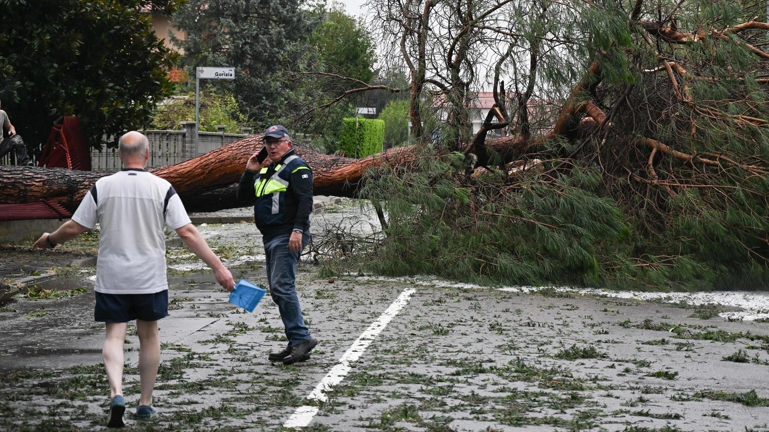 La scuola primaria è più sicura Abbattuti gli alberi pericolanti La scuola primaria è più sicura Abbattuti gli alberi pericolanti
