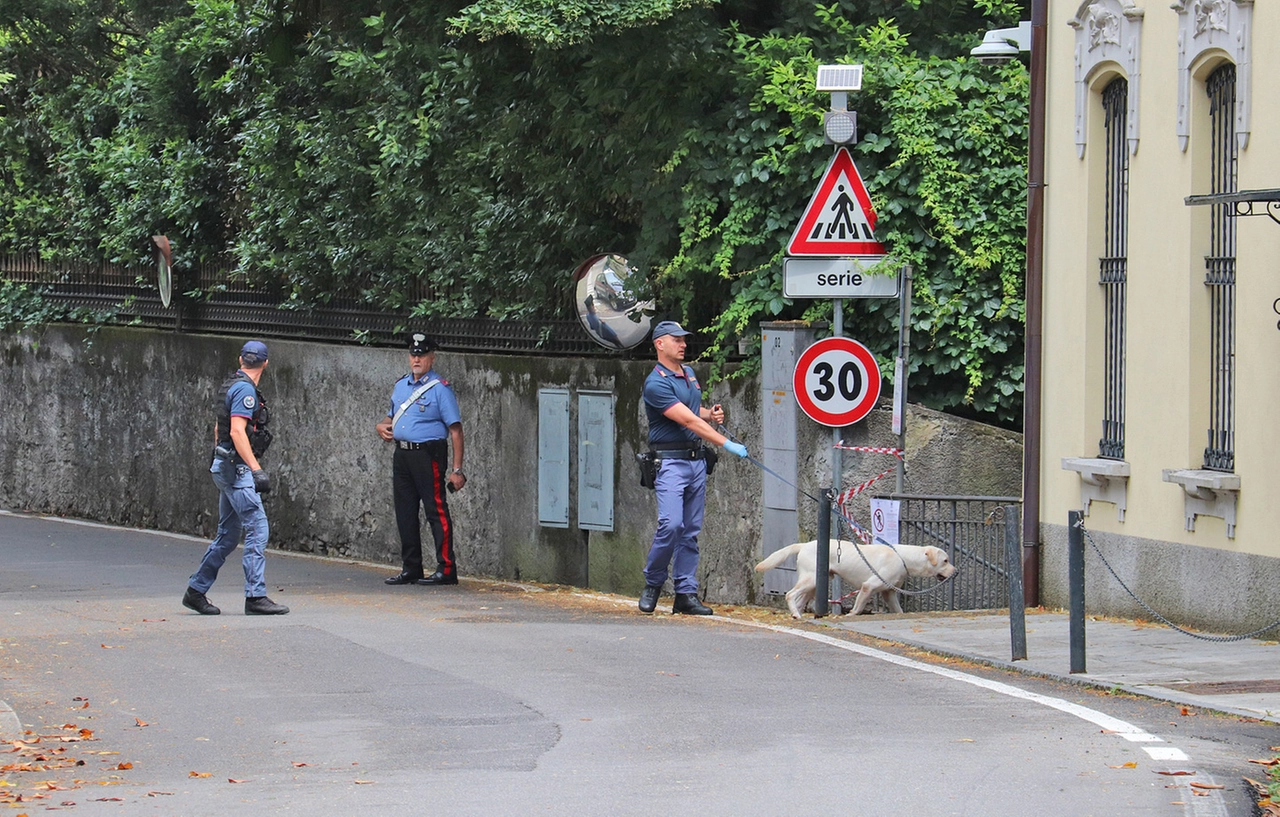 immagine di sfondo 15