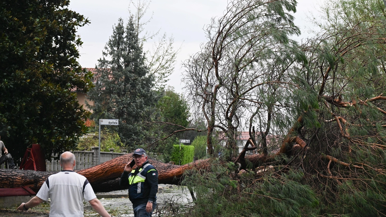 Danni del maltempo a San Giorgio su Legnano: via ai lavori per scuole e palestre
Danni del maltempo a San Giorgio su Legnano: via ai lavori per scuole e palestre