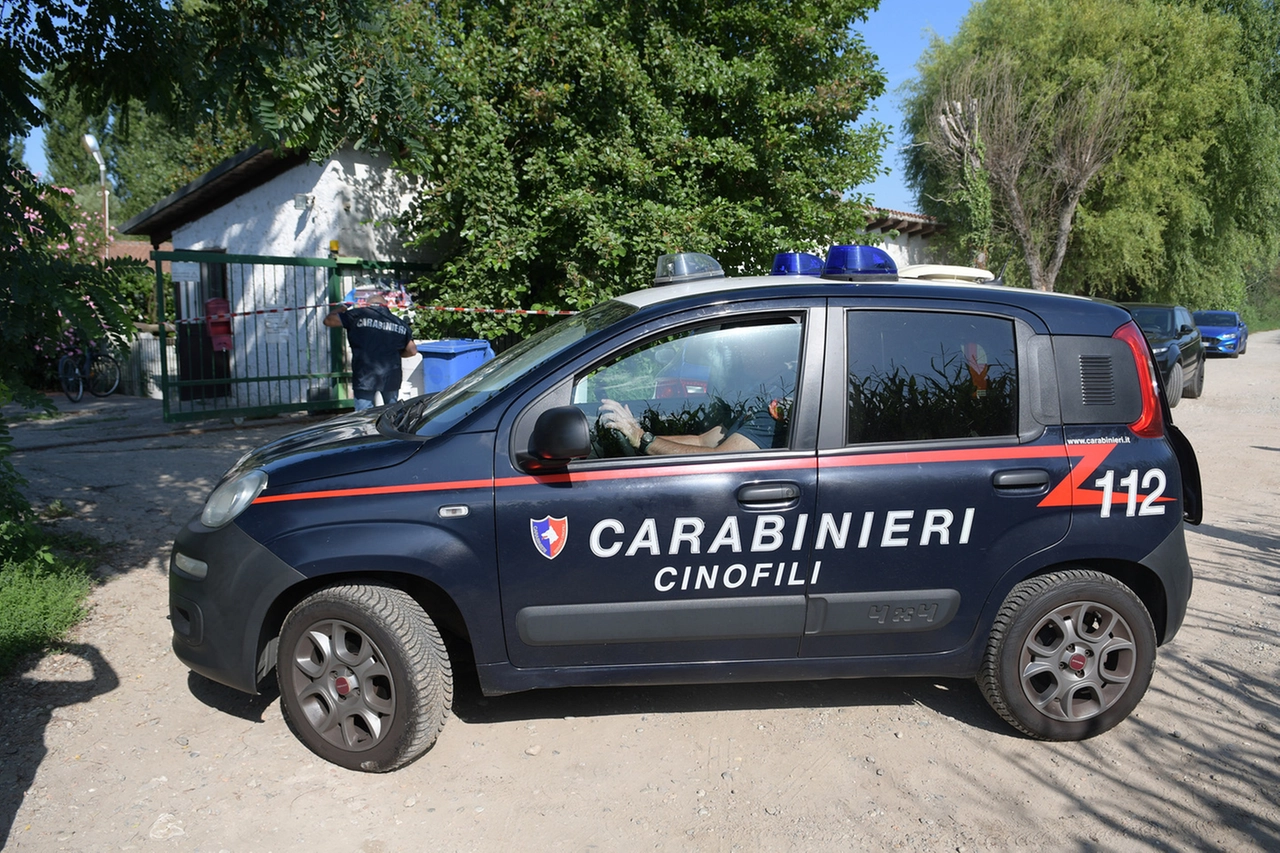 immagine di sfondo 6