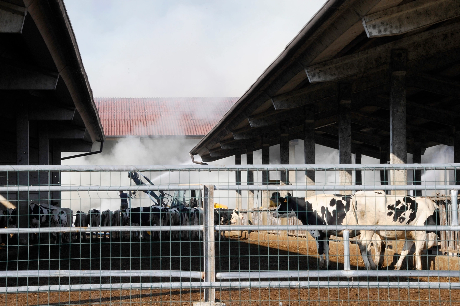 L'incendio nell'azienda agricola Cossa a Buccinasco