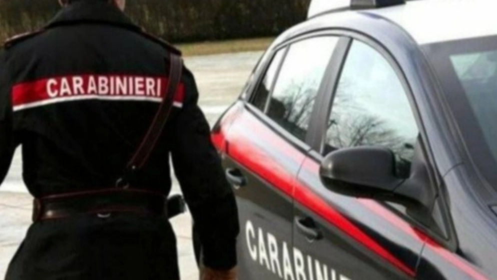 A ritrovarla sono stati i carabinieri