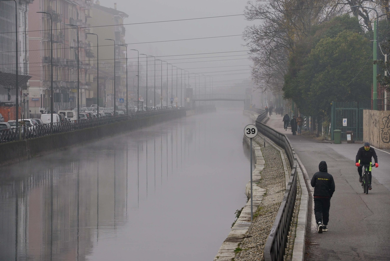 immagine di sfondo 1