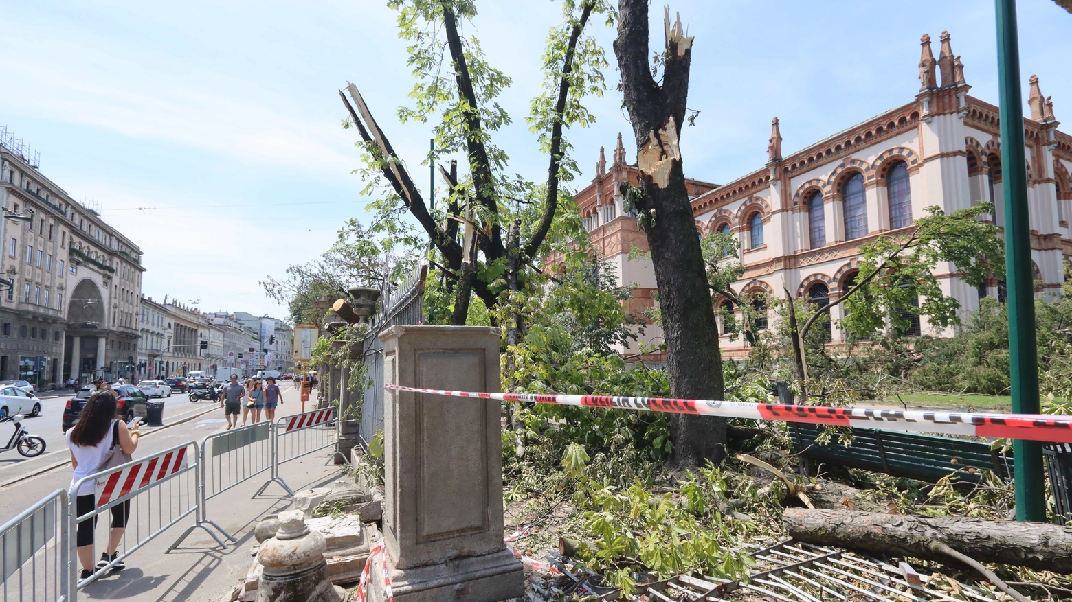 Alberi abbattuti ai Giardini Montanelli