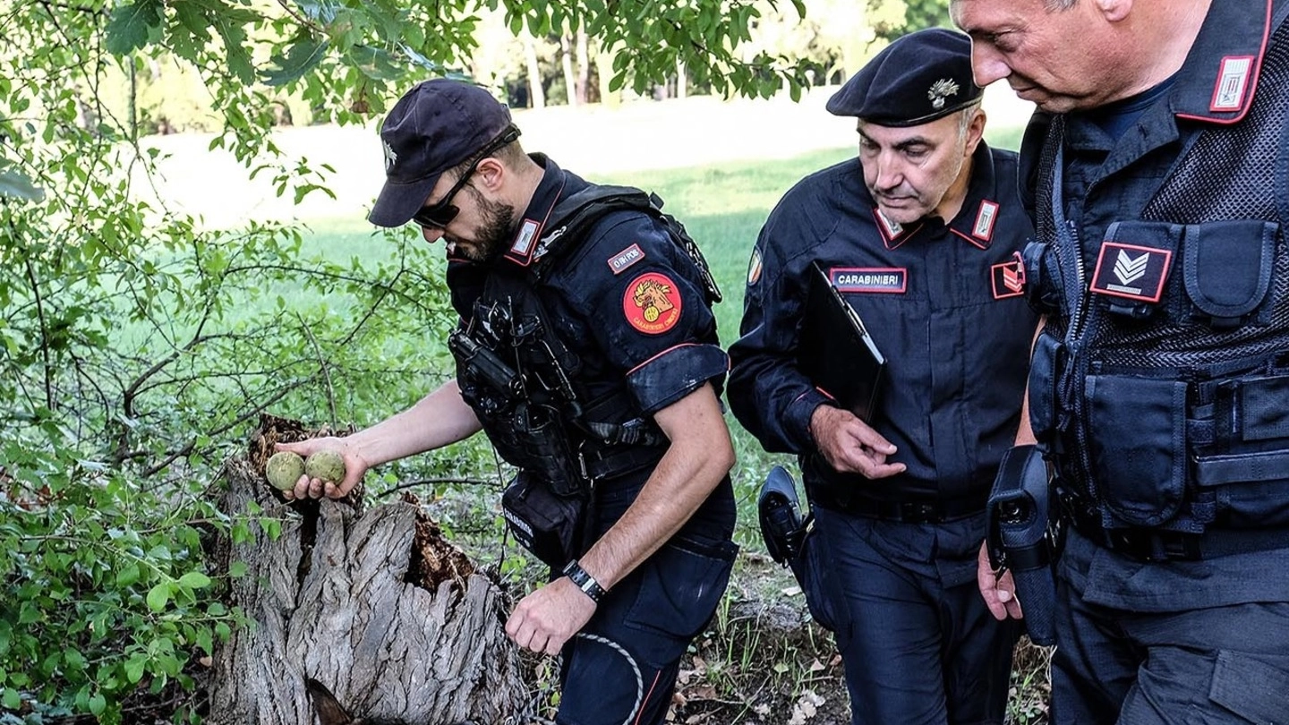 I carabinieri passano al setaccio uno dei tanti boschi della droga fra Milano e il Varesotto  