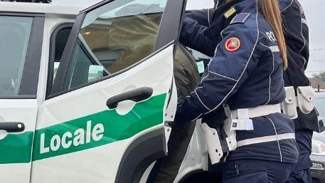 Maestro di religione arrestato per abusi a Milano: 40 casi in inchiesta
Maestro di religione arrestato per abusi a Milano: 40 casi in inchiesta