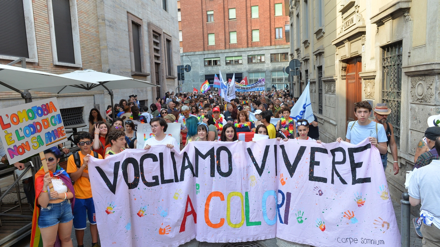 Il gay pride di Varese (Newpress)