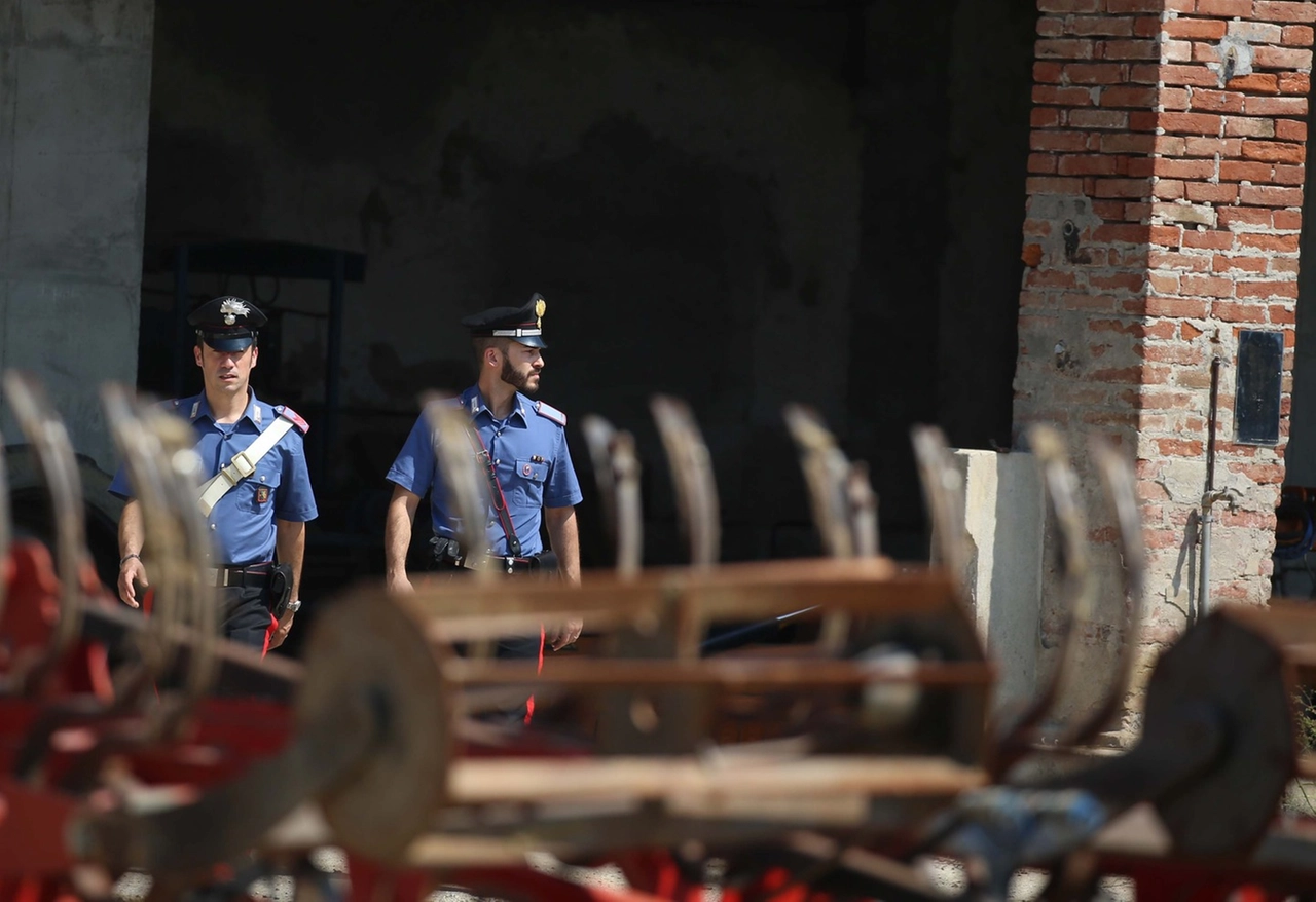 immagine di sfondo 13
