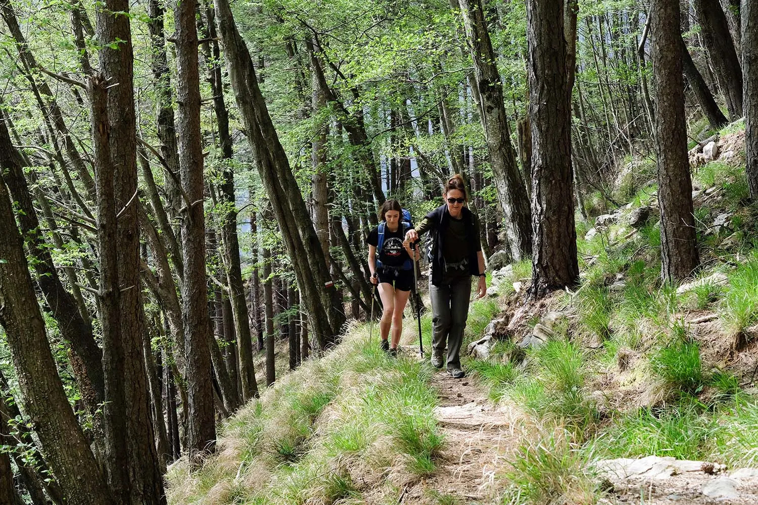 Lecco, trekking in treno alla scoperta dei paesaggi lombardi