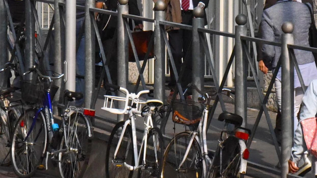 Nel peculato l’acquisto di tre asini