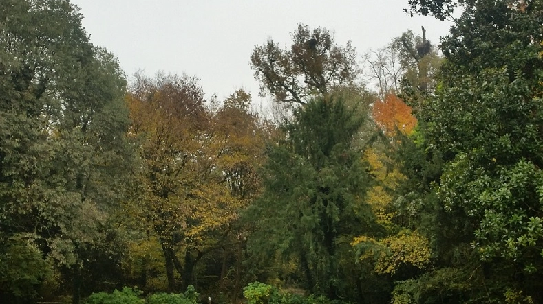 Lo spettacolo del foliage al parco Bertone