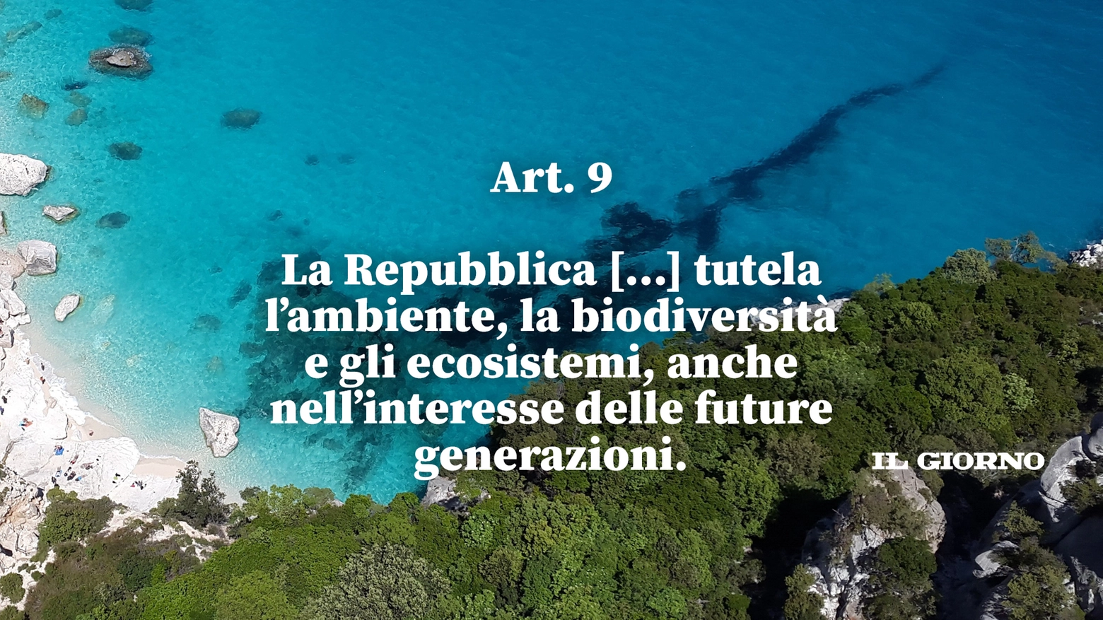 Una parte dell'articolo 9 modificato dalla riforma