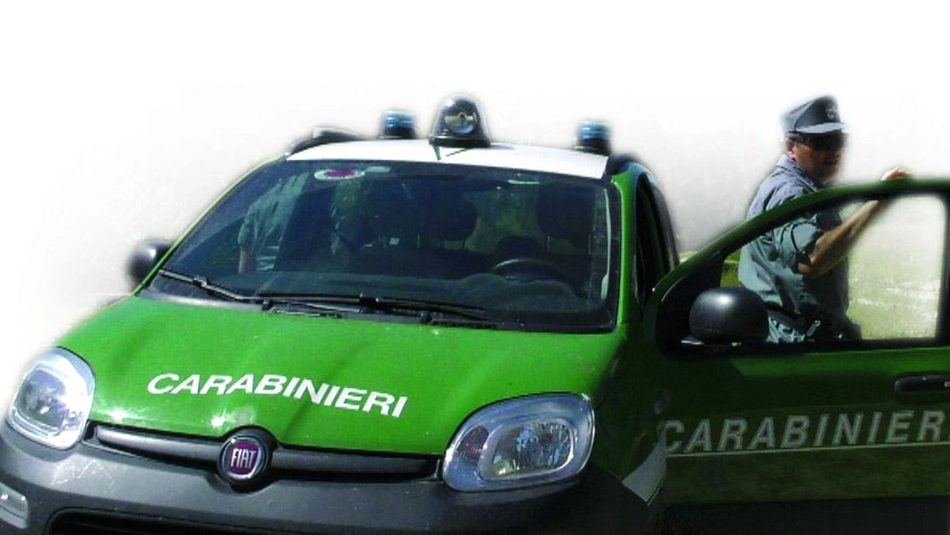 Carabinieri Forestali