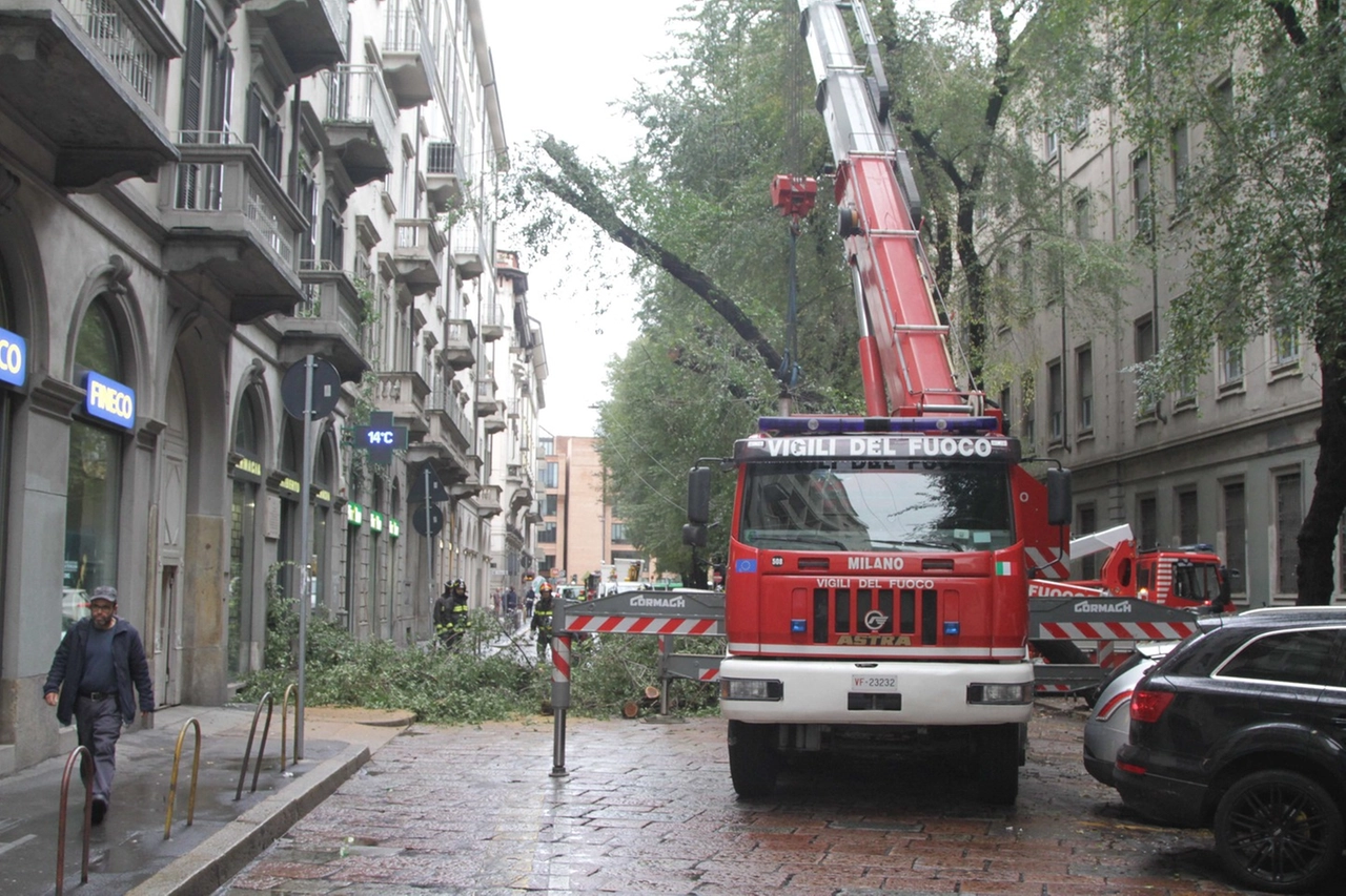 immagine di sfondo 29