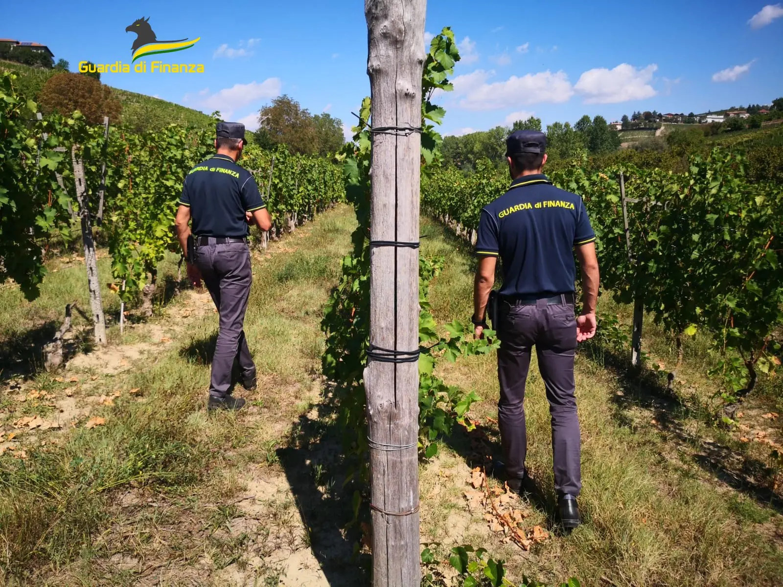 Appalti e contratti falsi: famosa azienda del vino accusata di frode all’Ue per 2 milioni