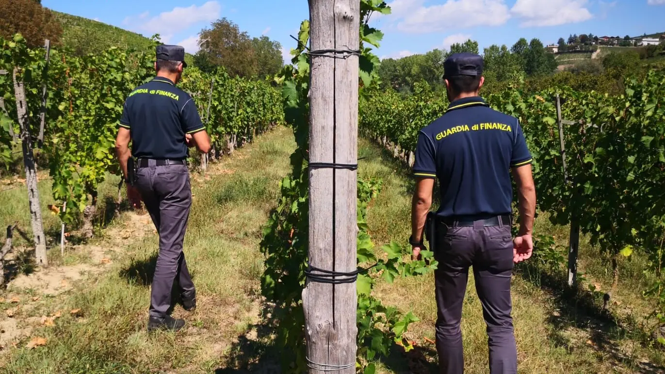 Le indagini sull'azienda vitivinicola sono state eseguite dalla Guardia di finanza